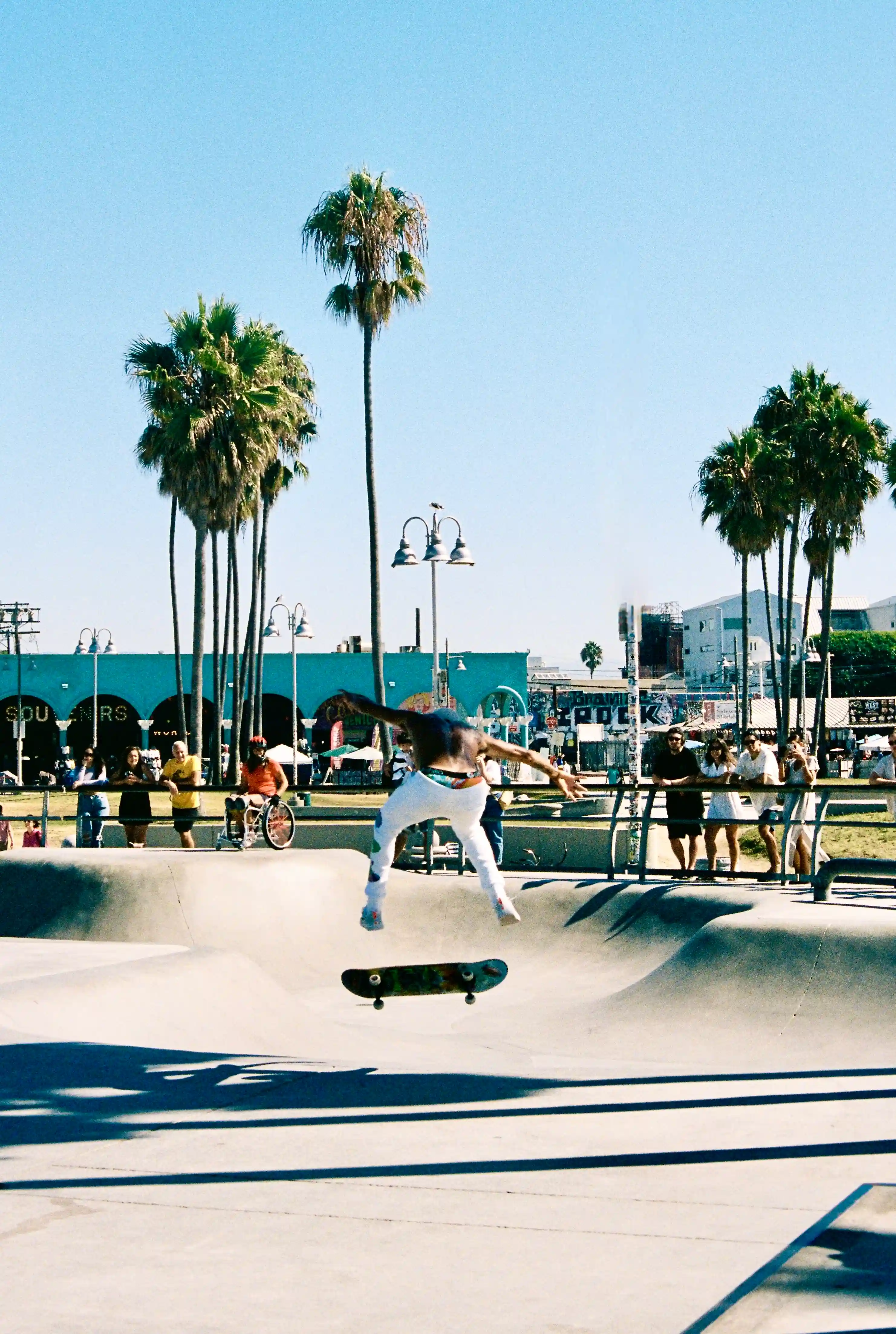 Skateboarder hovering at Venice Beach skatepark